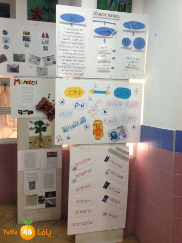 chemstery shamlea (5).jpg